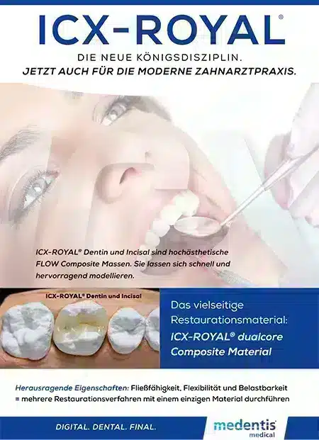 Download (PDF)