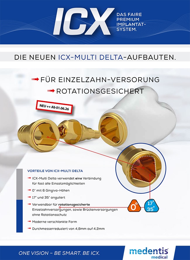 Download (PDF)