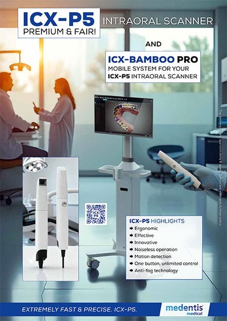 Download (PDF)