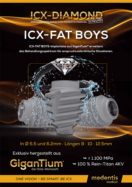 Download (PDF)